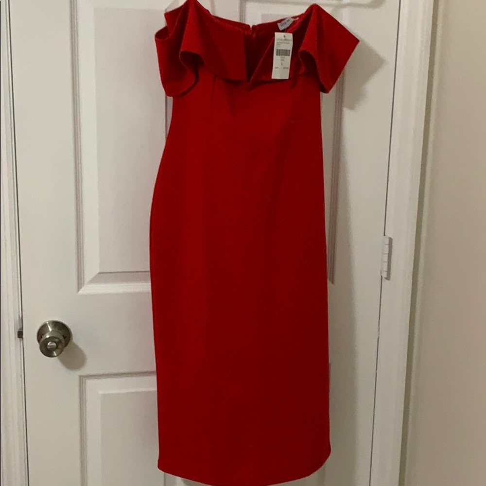 Fashion Nova dress